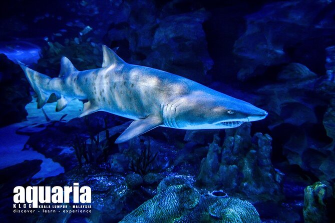 Malaysia: Aquaria KLCC Entry Ticket - Getting there and using the mobile ticket