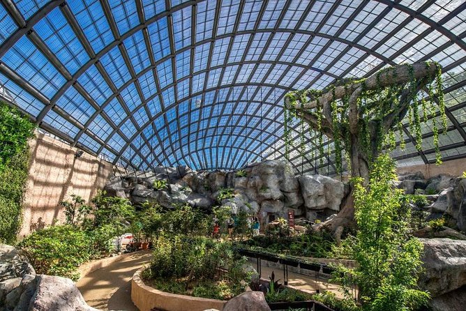 Malaysia: Discover Nature's Wonders with Entopia Entry Ticket - The Natureland: butterflies, moths, and waterfalls