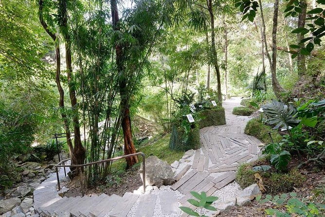 Malaysia: Penang Tropical Spice Garden Guided Tours Tickets - What the Tropical Spice Garden is really like