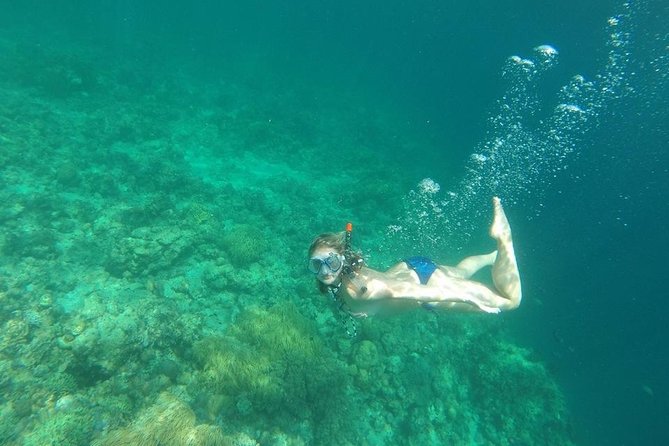 Mamutik + Sapi Island SnorkelingTrip from Kota Kinabalu - Choosing between Sapi and Mamutik