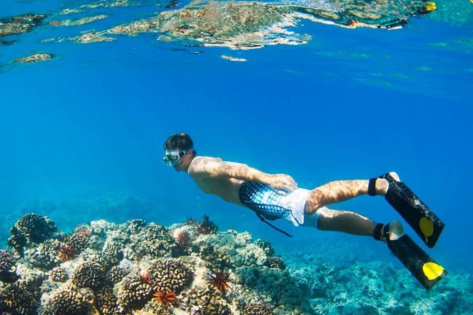 Mamutik + Sapi Island SnorkelingTrip from Kota Kinabalu - Transport, timing, and the Jesselton Point handoff