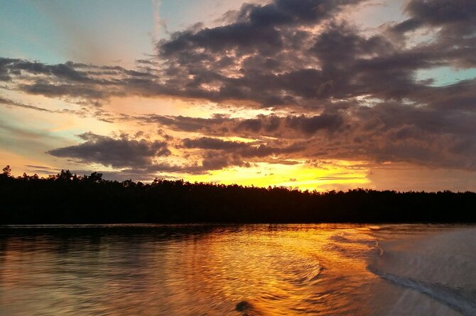 Mangrove Cruise with Fireflies Tour Including Dinner from Sandakan - Why the firefly cruise is the main event