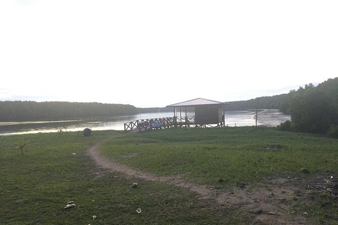 Mangrove Cruise with Fireflies Tour Including Dinner from Sandakan - Who should book this evening?