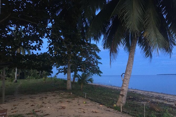 Mangrove Cruise with Fireflies Tour Including Dinner from Sandakan - Walking through the village and trying the crab trap