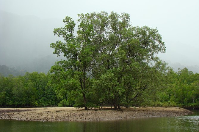 Mangrove River Cruise and Snorkeling Tour from Langkawi - Why this private afternoon trip works