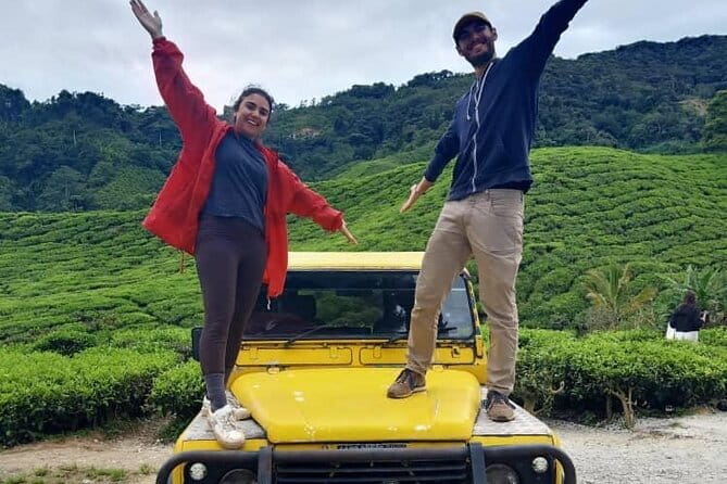Mossy Forest in Brinchang Tour - Why this Cameron Highlands half-day tour works