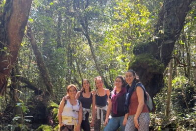 Mossy Forest in Brinchang Tour