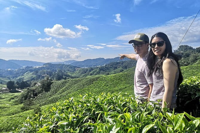 Mossy Forest in Brinchang Tour - What the $19.52 price really includes