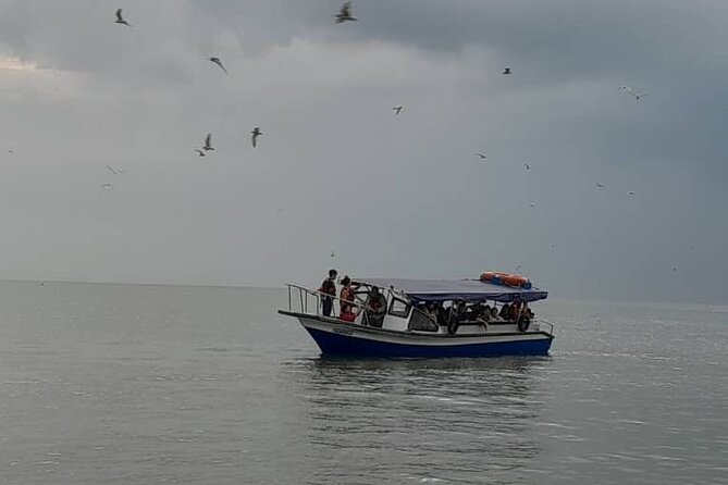 Mystical Nights: Fireflies & Blue Tears Adventure - Kuala Selangor and the seafood stop