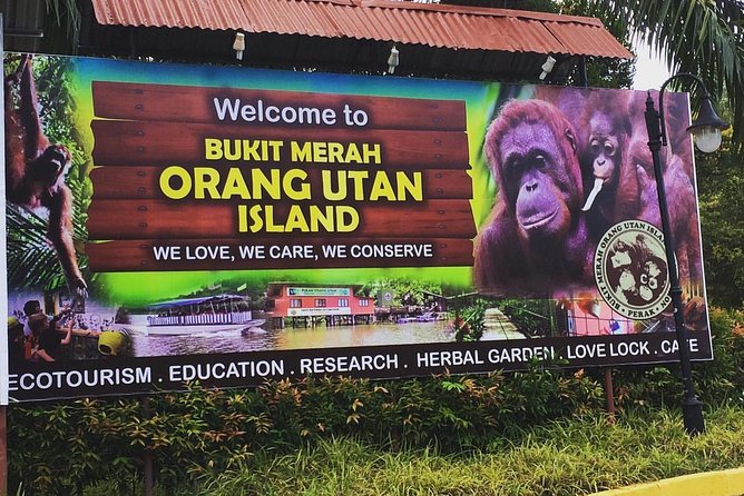 Orang Utan Island Day Tour - Taiping Lake Gardens: a welcome pause