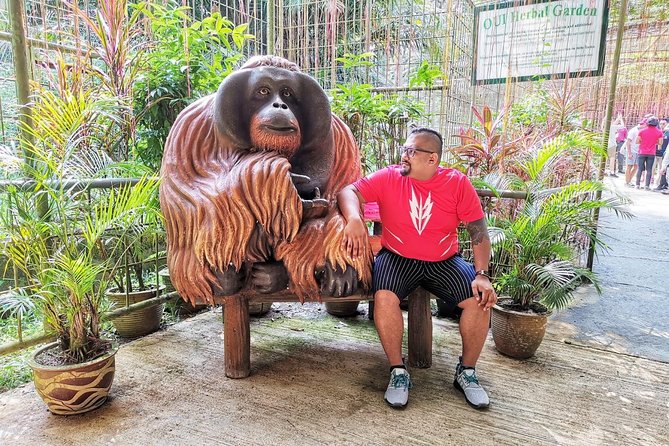 Orang Utan Island Day Tour - What $101 buys you