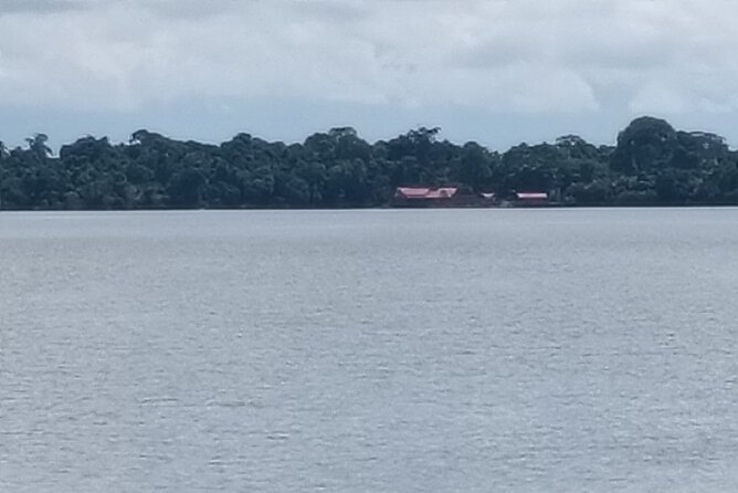Orangutan Island, A Responsible Wildlife Sanctuary Experience - About three hours among rescued orangutans