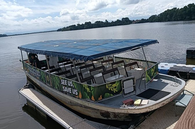 Orangutan Island, A Responsible Wildlife Sanctuary Experience - Responsible photos and respectful viewing