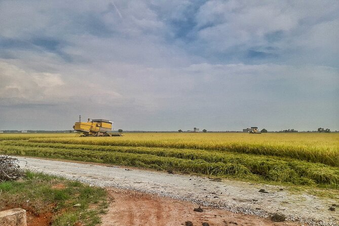 Paddy Field, Fishing Village Sekinchan DAY Tour Lunch (SIC-Shared/Join In Tour) - Is $65 good value?