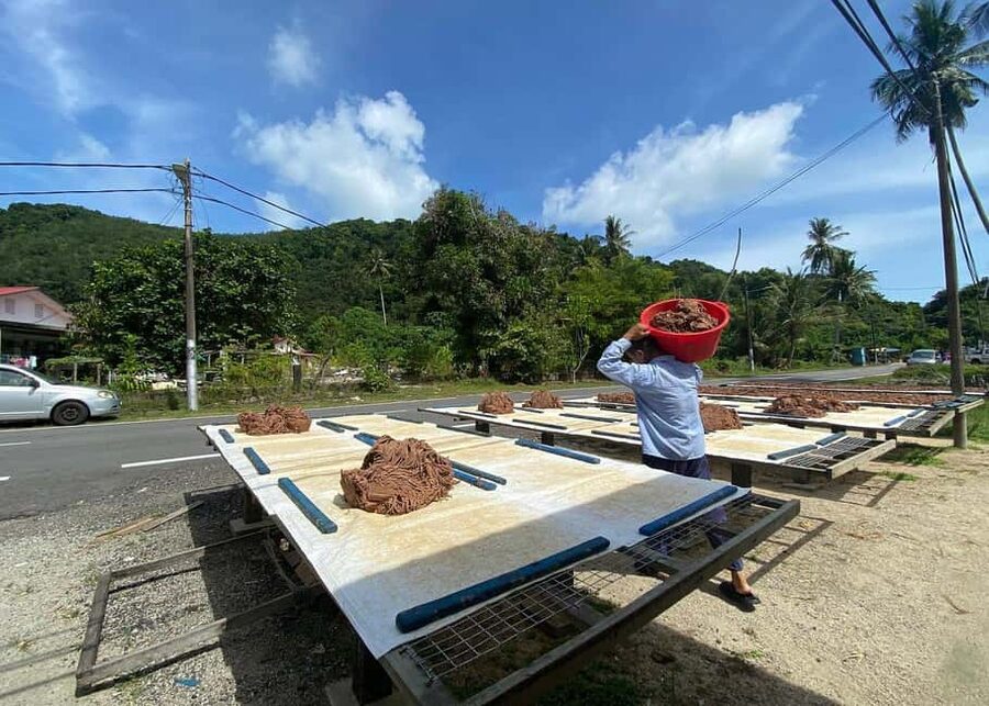 Penang: Balik Pulau Culture Experience & Village Tour - Lunch in Balik Pulau costs extra but adds value