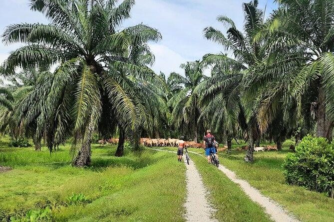 Penang Countryside Cycling Tour. PPA2 by Matahari - Reaching Kuala Sungai Pinang