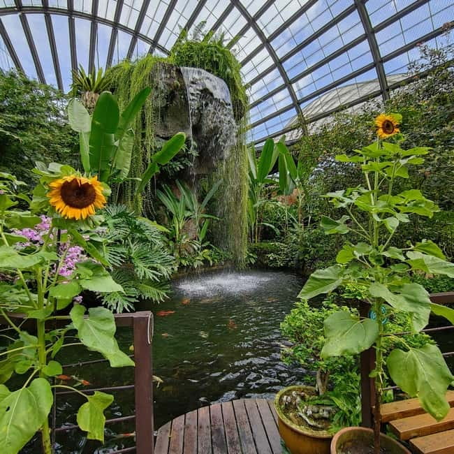 Penang: Entopia General Admission Tickets - Practical details at Teluk Bahang