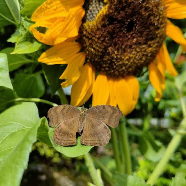 Penang: Entopia General Admission Tickets - Should you book Entopia Penang?