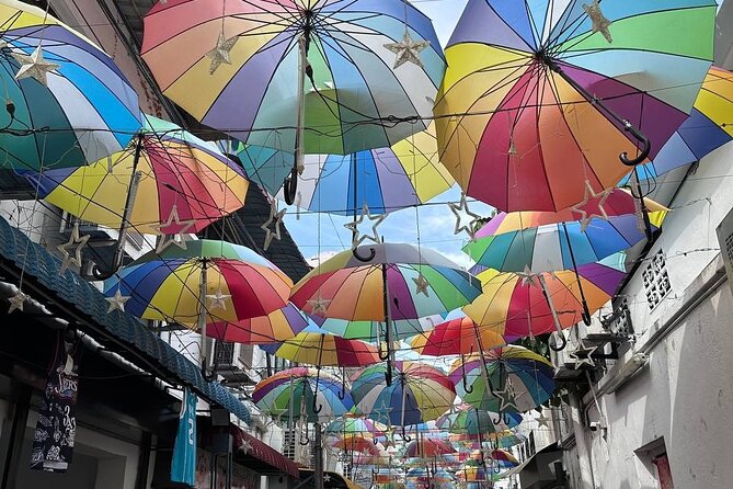Penang Exciting Local Full Day Private Tour 8 Hours - A private way to connect Penang’s many sides
