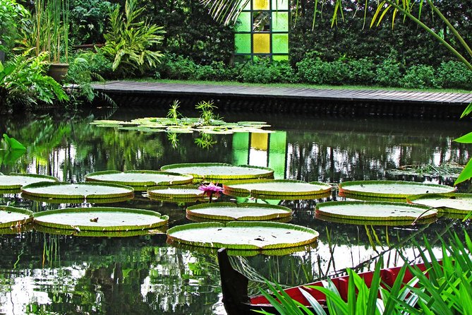 Penang Round Island Tour With Tropical Spice Garden & Entopia Butterfly Farm - The Penang Batik Factory and a useful booking question