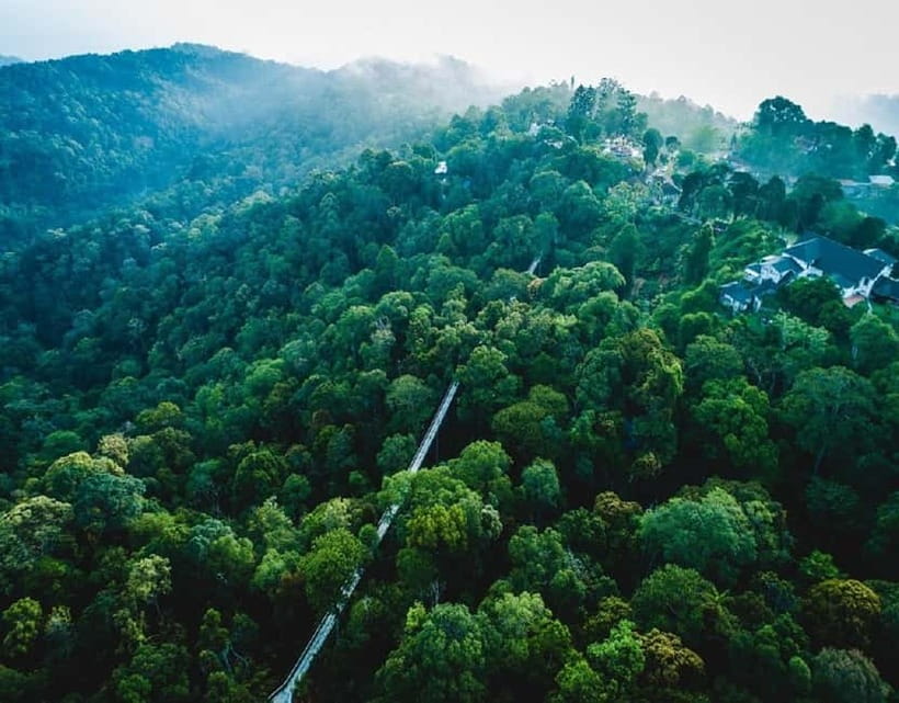 Penang: The Habitat Penang Hill Entry Ticket - Forest swings and quiet places to stop