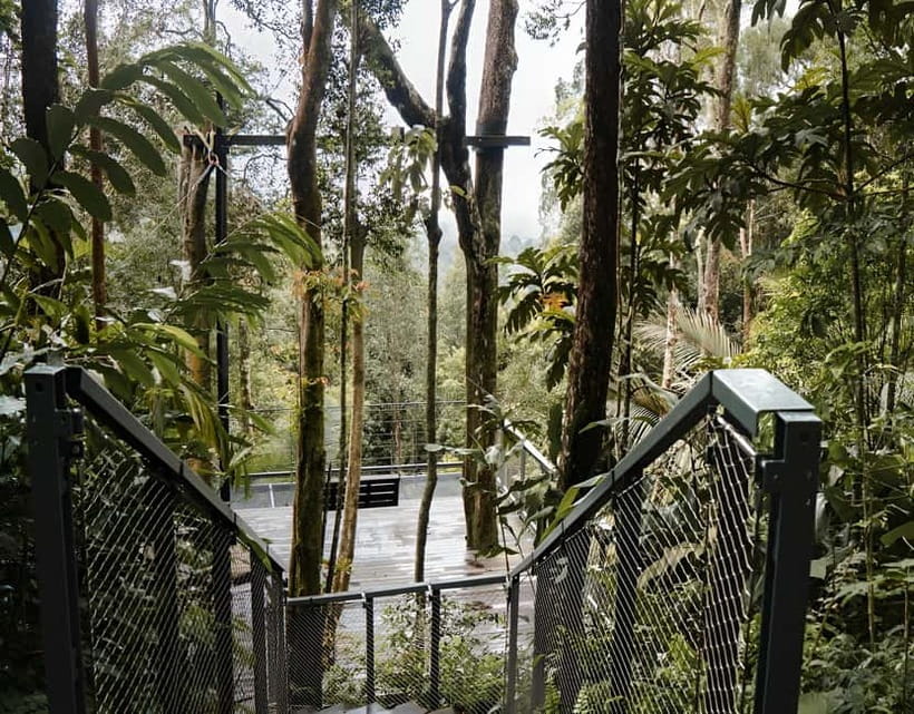 Penang: The Habitat Penang Hill Entry Ticket - Wildlife in an ancient rainforest