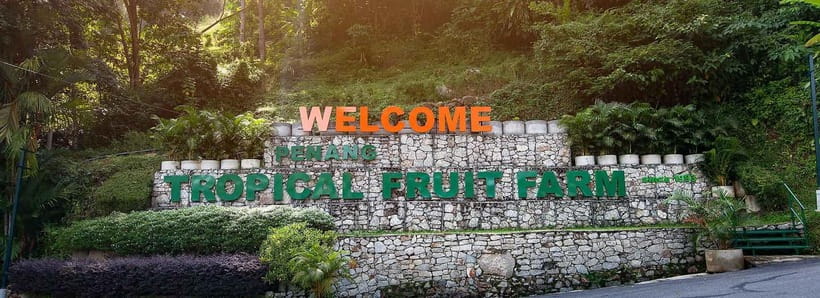 Penang: Tropical Fruit Farm Ticket - Why this farm is worth a stop in Penang