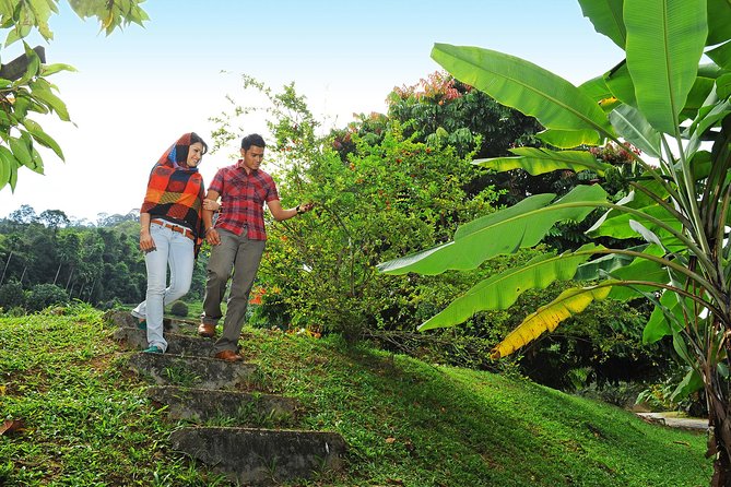 Penang Tropical Fruit Farm with Fruit Tasting - Practical tips for getting the most from it
