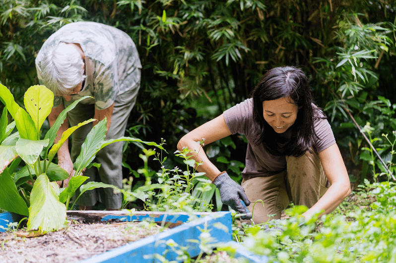 Penang: Tropical Spice Garden Entrance Ticket & Guided Tours - Eight acres of spices, herbs, and tropical plants