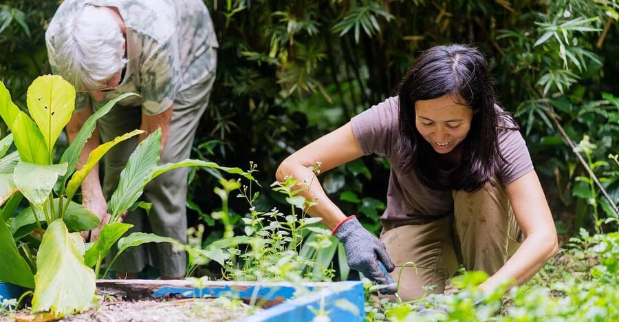 Penang: Tropical Spice Garden Entrance Ticket & Guided Tours - How the walking route works