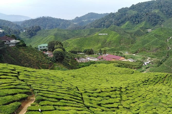 Private: Cameron Highlands 2 days 1 night Trip - A private road into the Cameron Highlands