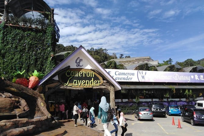 Private: Cameron Highlands 2 days 1 night Trip - Day one: Lata Iskandar and the first mountain views