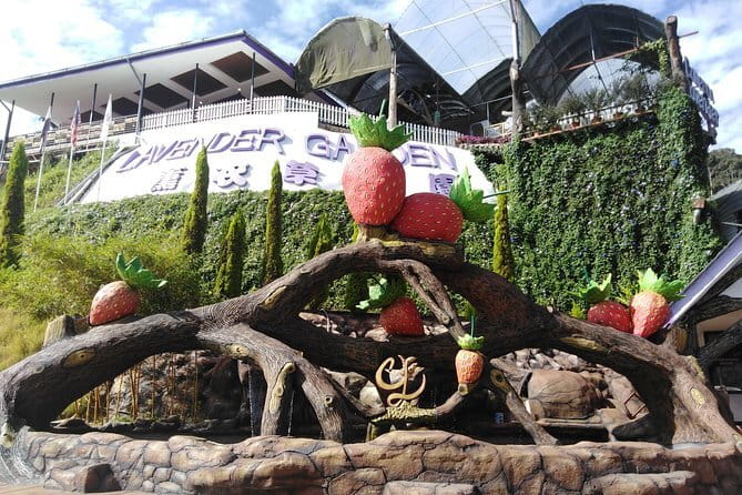 Private: Cameron Highlands 2 days 1 night Trip - Boh Tea Estate and a factory visit