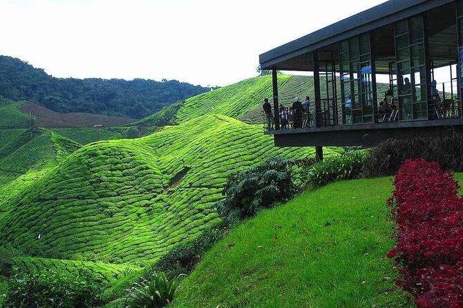 Private Full-Day Cameron Highlands Nature Tour from Kuala Lumpur - Why this day trip works for a Kuala Lumpur visit