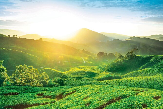 Private Full-Day Cameron Highlands Nature Tour from Kuala Lumpur - Lata Iskandar: waterfall, roadside market, and a short break
