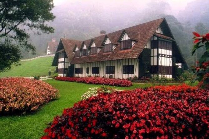 Private Full-Day Cameron Highlands Nature Tour from Kuala Lumpur - Tea country around Bharat Estate and Cameron Valley