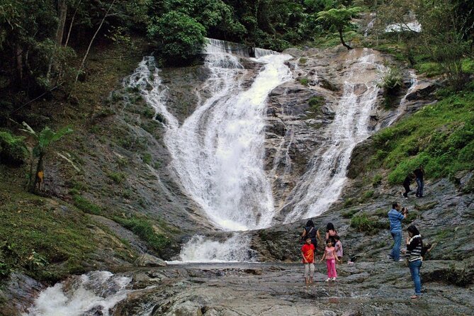 Private Full-Day Cameron Highlands Nature Tour from Kuala Lumpur - Strawberry farms, flowers, and the limits of a busy route