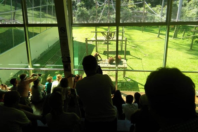 Private Full Day Sepilok Orang Utan, Bornean Sun Bear and Rainforest Discovery Center Tour - Why this private Sepilok day works well