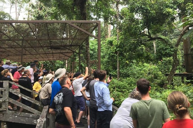 Private Full Day Sepilok Orang Utan, Bornean Sun Bear and Rainforest Discovery Center Tour - Sepilok Orangutan Rehabilitation Centre, about two hours