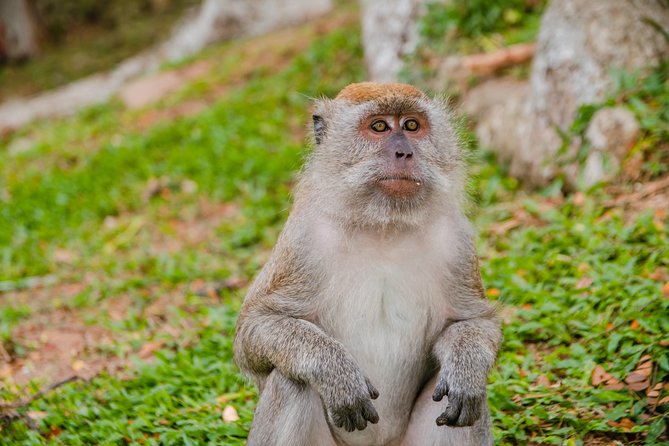 Private Kanching Waterfalls with Batu Caves & Ramayana Caves Tour - Practical preparation for the cave and waterfall stops