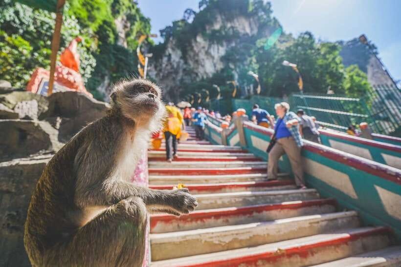 Private KL City Tour with Petronas Twin Towers & Batu Caves - Why this private KL tour works in one day
