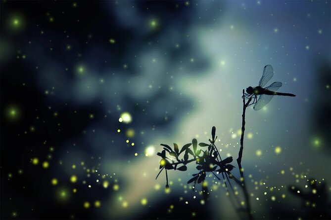 Private Kuala Lumpur Fairy Firefly And Monkey Hill Tour - Why the firefly boat ride is the main event