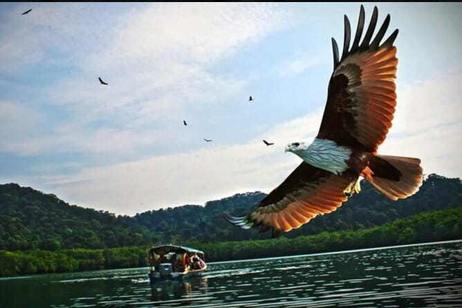 Private Langkawi Departure Transfer to Airport - What the ride itself is like