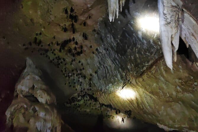 Private Langkawi Mangrove Forest Boat Tour Tg Rhu with Lunch - Inside Gua Kelawar, Langkawi’s Bat Cave