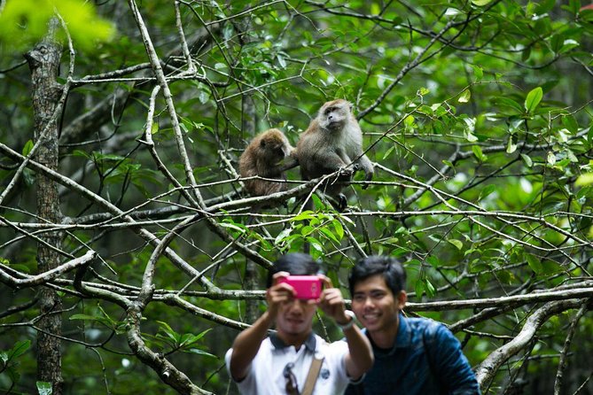 Private Mangrove Tour 3 Hour (max 8 People) - Key points to know before you book