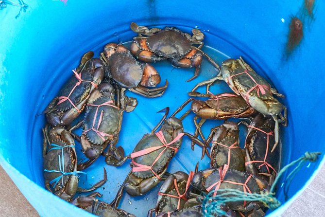Private Tour: Crab Island Sightseeing Boat Ride and Seafood Lunch - Who will enjoy this half-day outing?