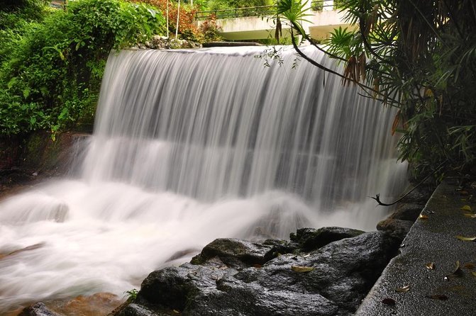 Private Tour: Full Day Center Penang Island Tour - The five details that shape your day