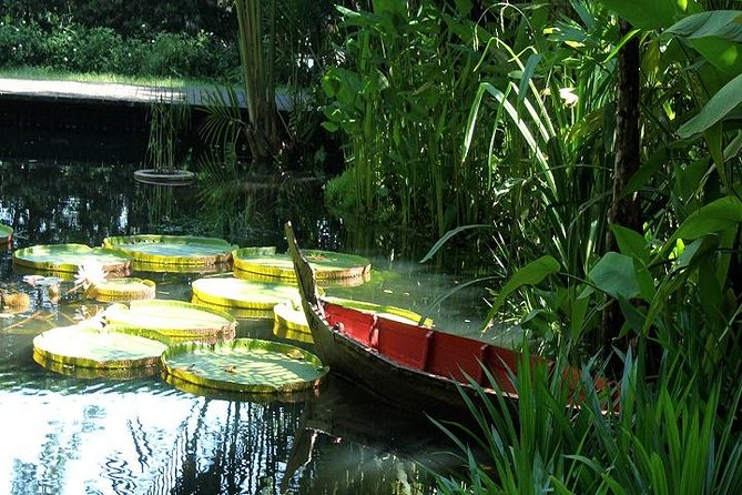 Private Tour: Full Day Round Penang Island Tour - Why a full island circuit makes sense