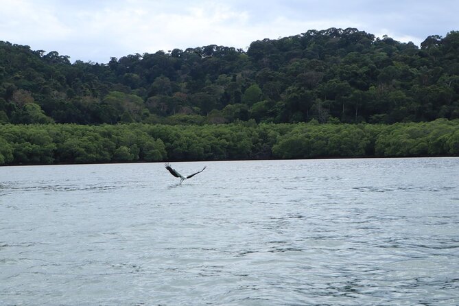 Private Tour: Southern Island Geopark Tour from Langkawi - Singa Besar and the eagle viewing stop