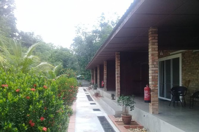 Private Transfer to Taman Negara from Kuala Lumpur - The driver can add local help to a simple ride